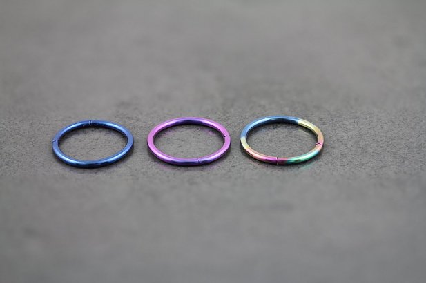 16g Titanium Segment Ring
