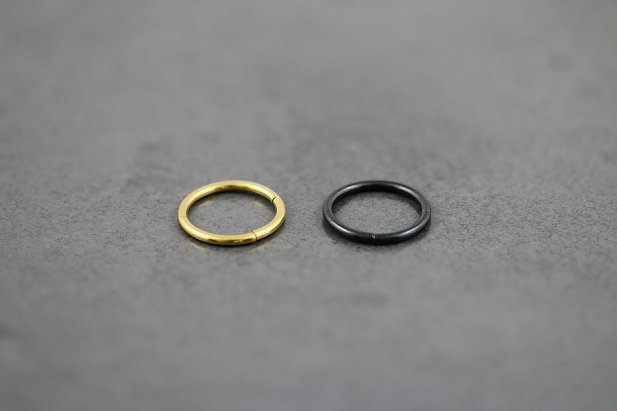 16g Titanium Segment Ring