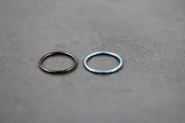 16g Titanium Segment Ring