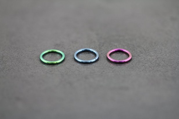16g Titanium Segment Ring