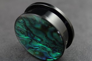 Acrylic Tunnel with Abalone Shell