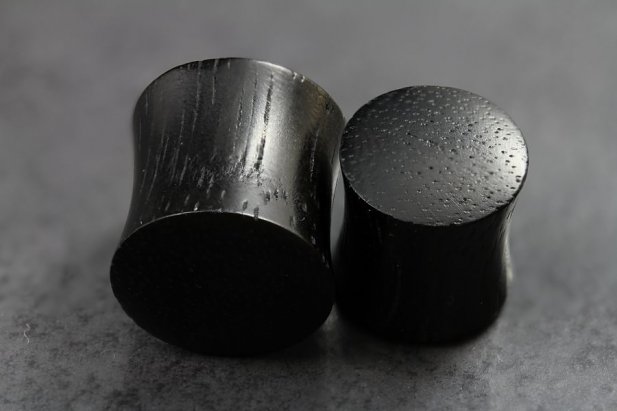 Areng Wood Flared Organic Plugs