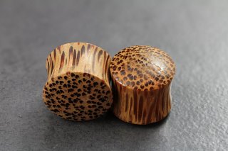 Coconut Wood Flared Plugs