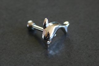 Dolphin Tragus Piercing