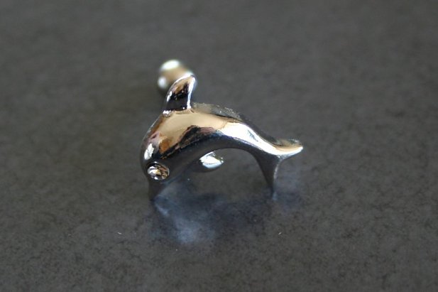 Dolphin Tragus Piercing