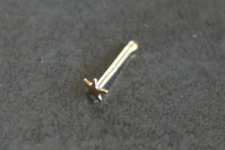 Gold Star Nose Stud