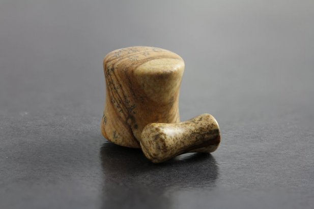 Picasso Jasper Stone Flared Plugs