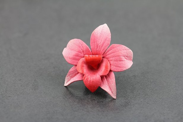 Pink Magnolia Leather Flower Plugs