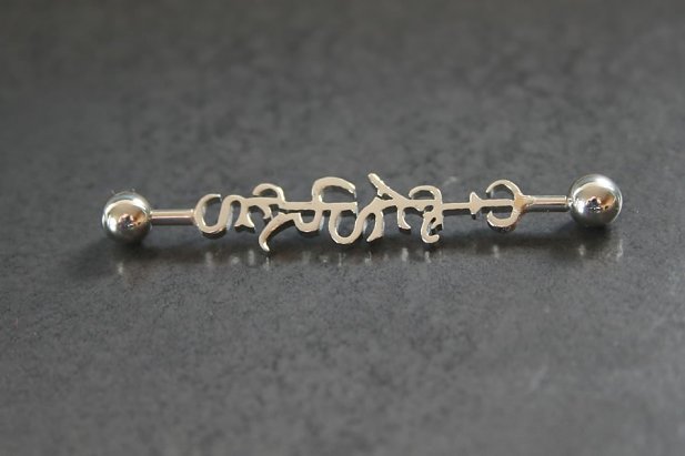 Pleasures Industrial Barbell