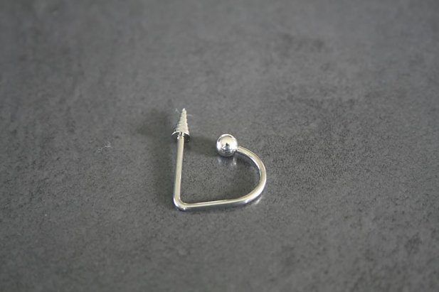 Spike and Loop Labret